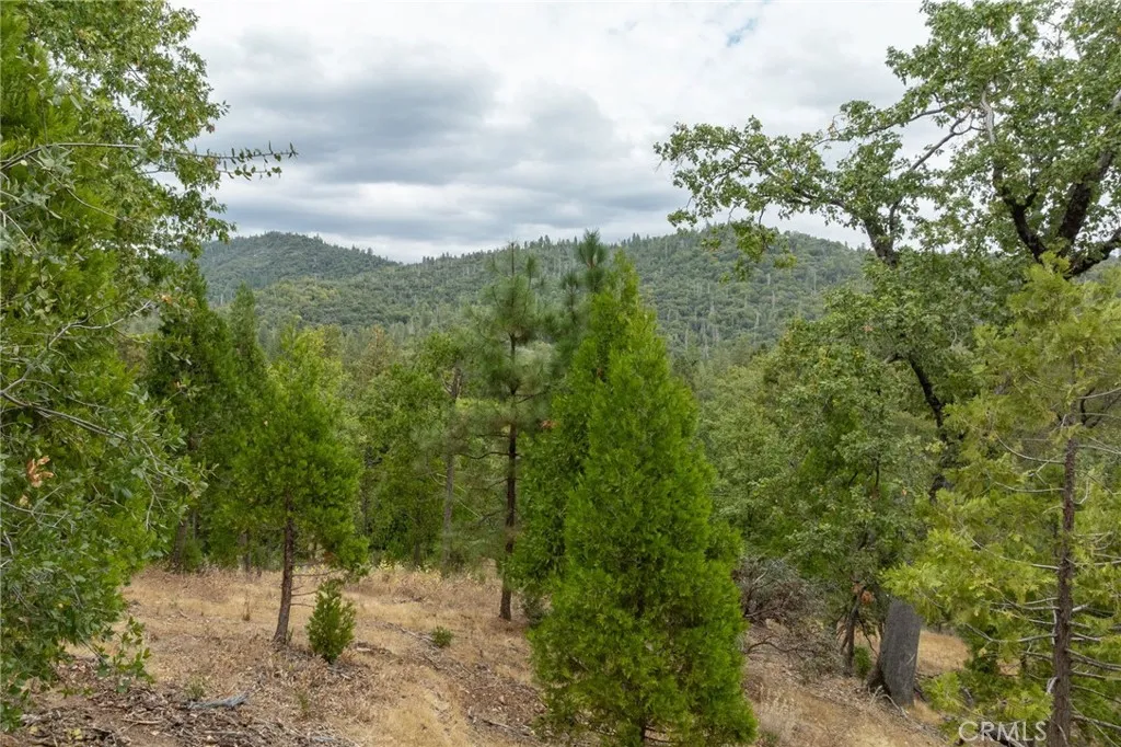 26 Timberview Road North Fork, CA 93643 - Photo 9 of 60