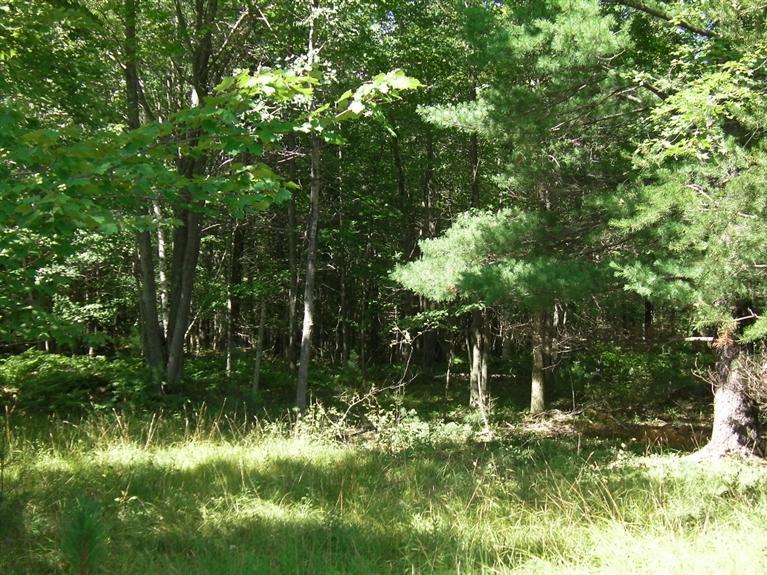 9457 North Stephens Road Free Soil, MI 49411 - Photo 6 of 19 Additional Photo