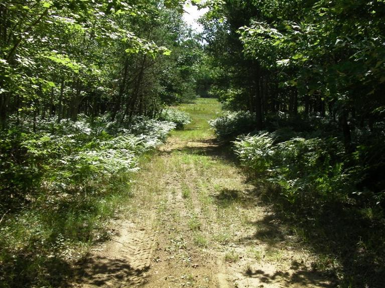 9457 North Stephens Road Free Soil, MI 49411 - Photo 10 of 19 Additional Photo