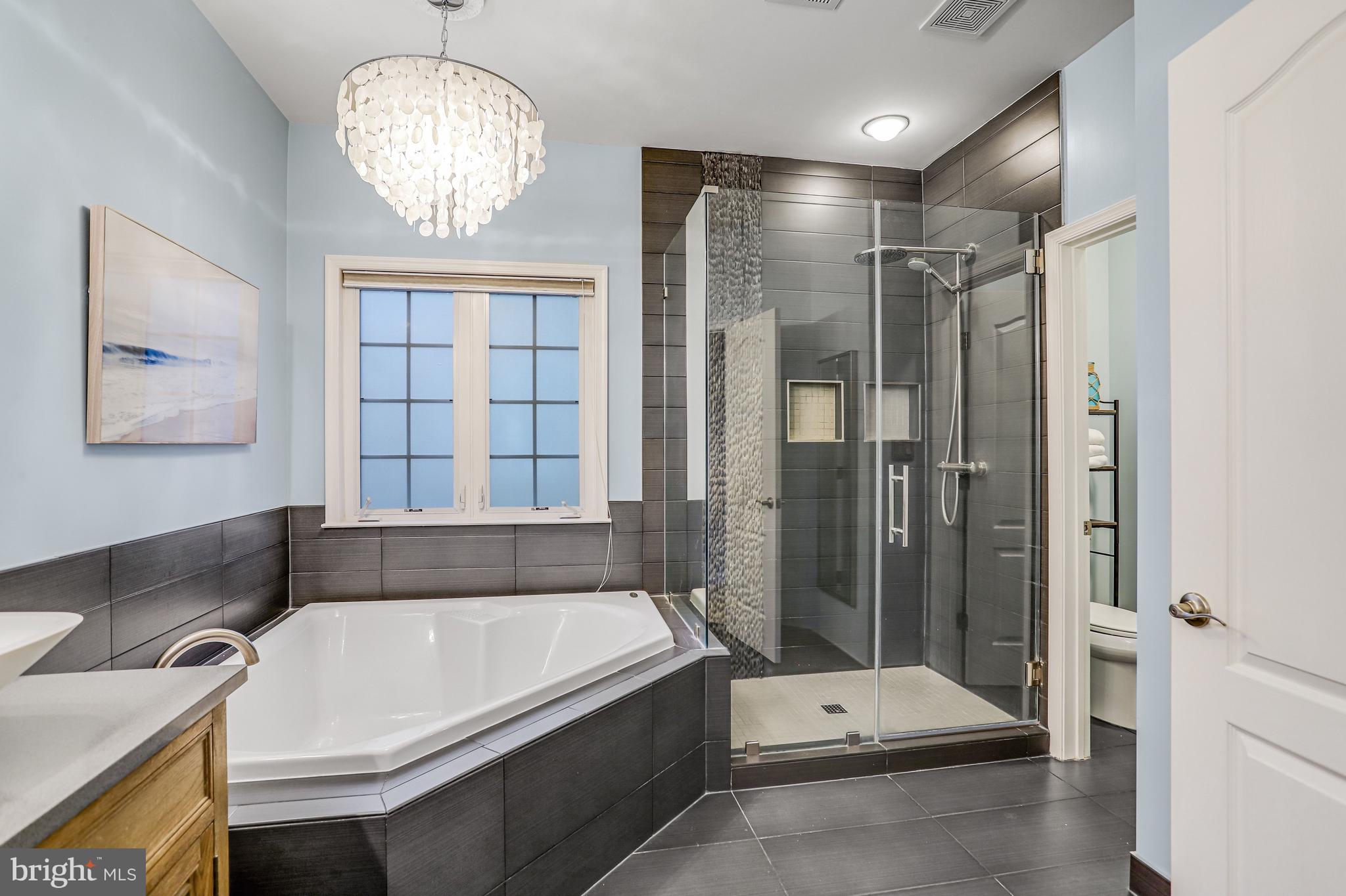 21625 Merion Street Ashburn, VA 20147 - Photo 53 of 80 a bathroom with a tub a toilet and a large mirror
