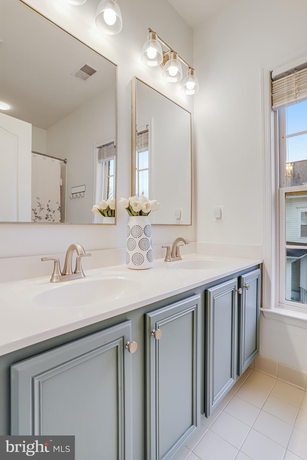 21625 Merion Street Ashburn, VA 20147 - Photo 59 of 80 a bathroom with double sink and a mirror