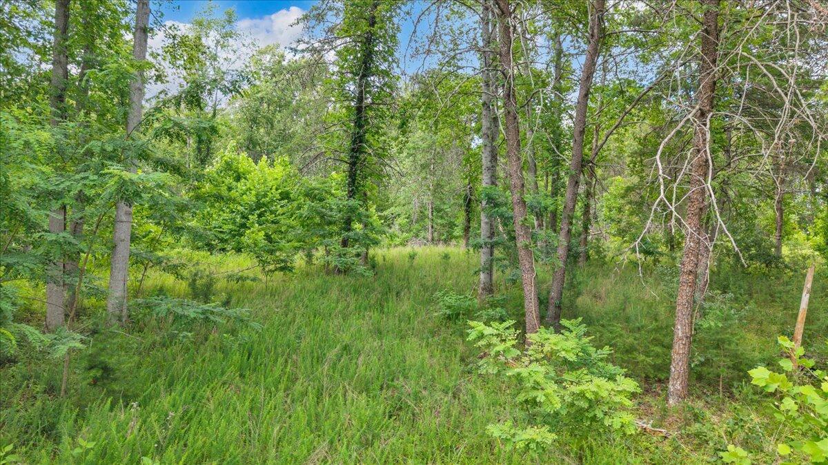 Lot 85 Crestview Road Wirtz, VA 24184 - Photo 3 of 23 04-DJI_20260618171516_0020_D