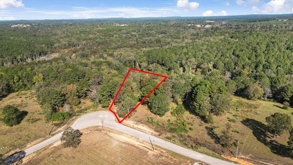 Tbd Pr 3398 Road Big Sandy, TX 75755 - Photo 4 of 19 Lot 32