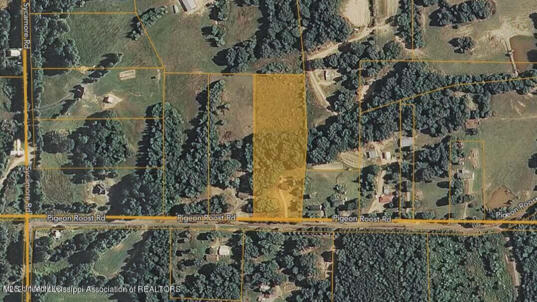 253 Red Banks Road Coldwater, MS 38618 - Photo 40 of 41 253