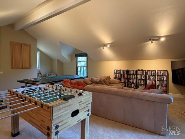 16875 Coleman Valley Road Occidental, CA 95465 - Photo 52 of 78