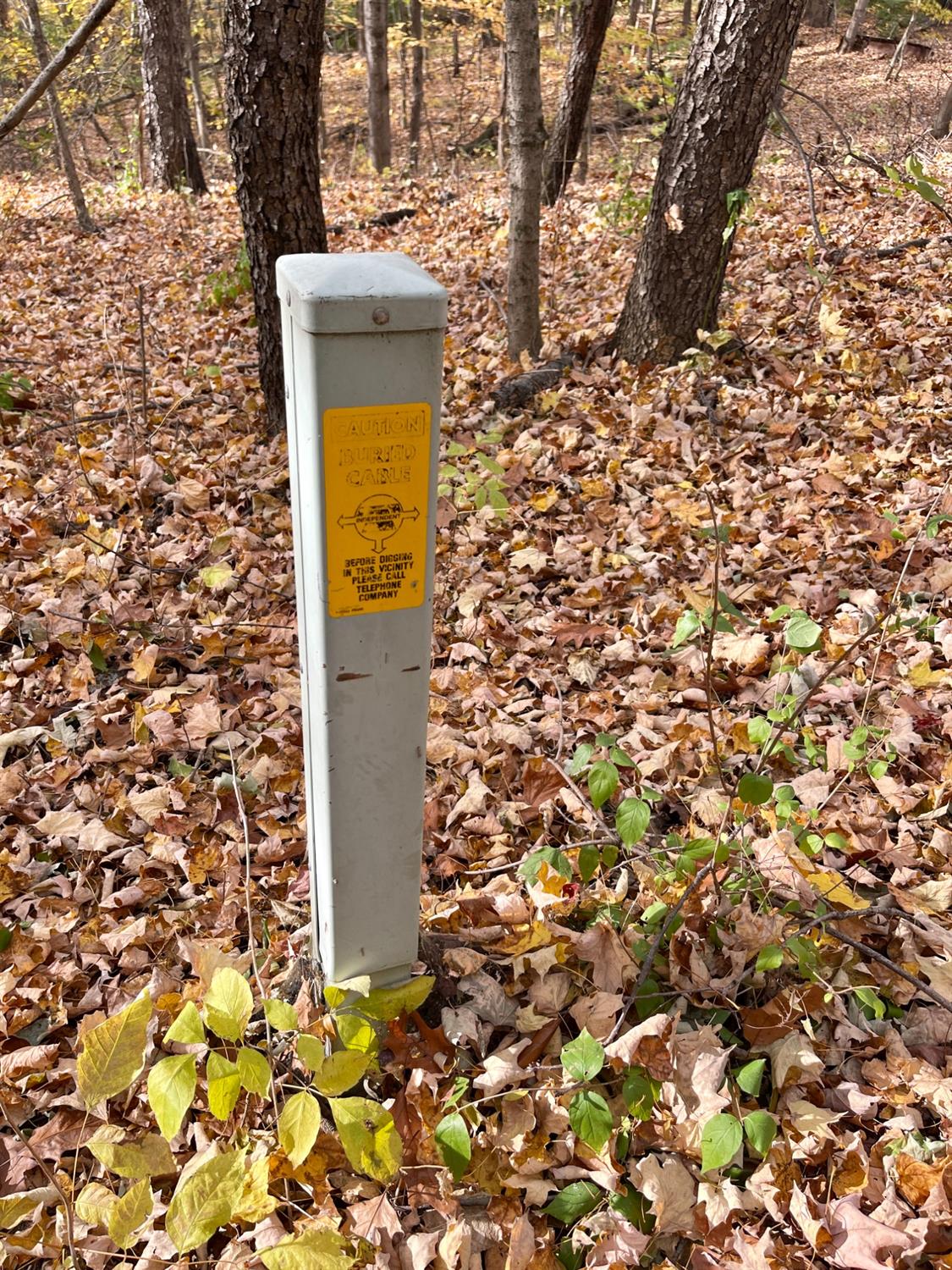 23651 Weisburg Road Sunman, IN 47041 - Photo 12 of 24 Electric