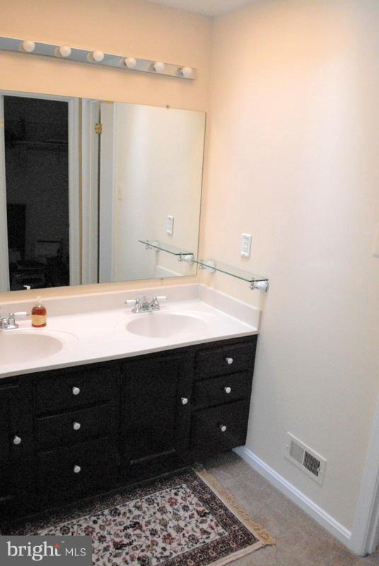 2143 Whisper Way Reston, VA 20191 - Photo 16 of 30 Bedroom Vanity with Skylight