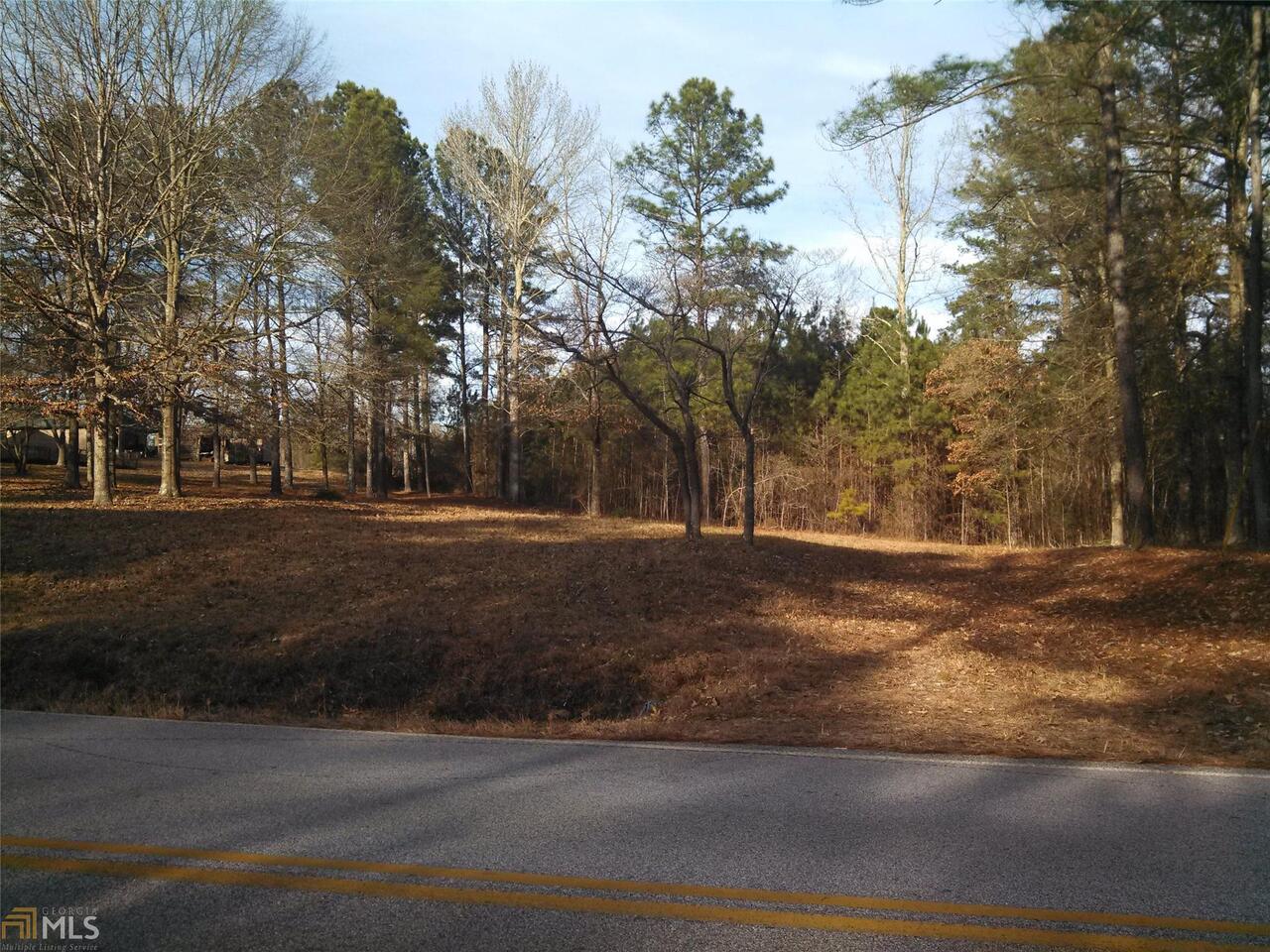 0 Brewer Road Villa Rica, GA 30180 - Photo 1 of 1