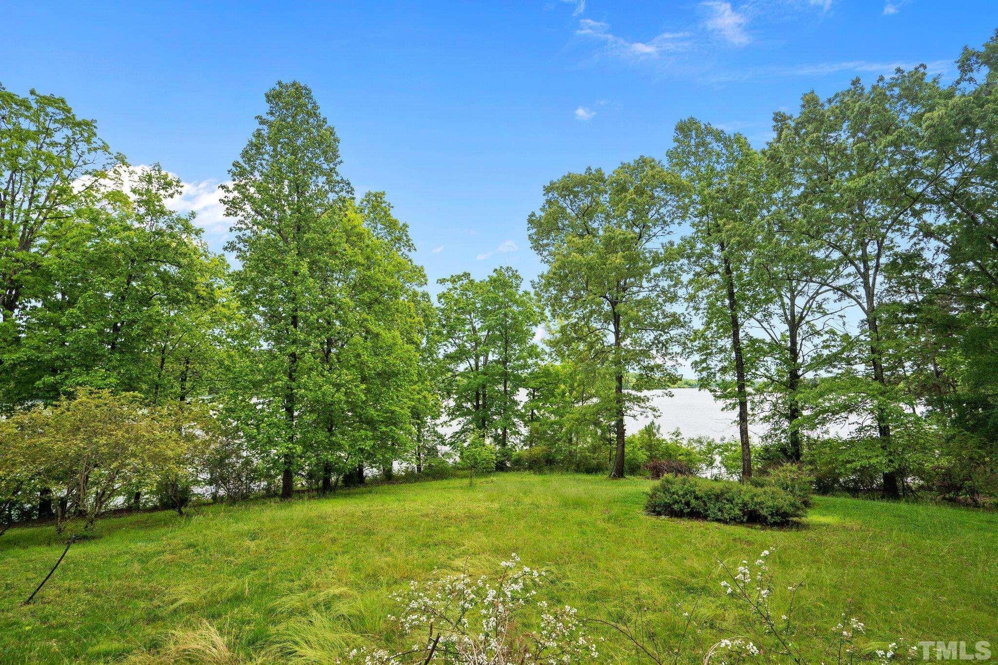 268 Dean Lane Roxboro, NC 27574 - Photo 11 of 38 a view of a grassy field with trees