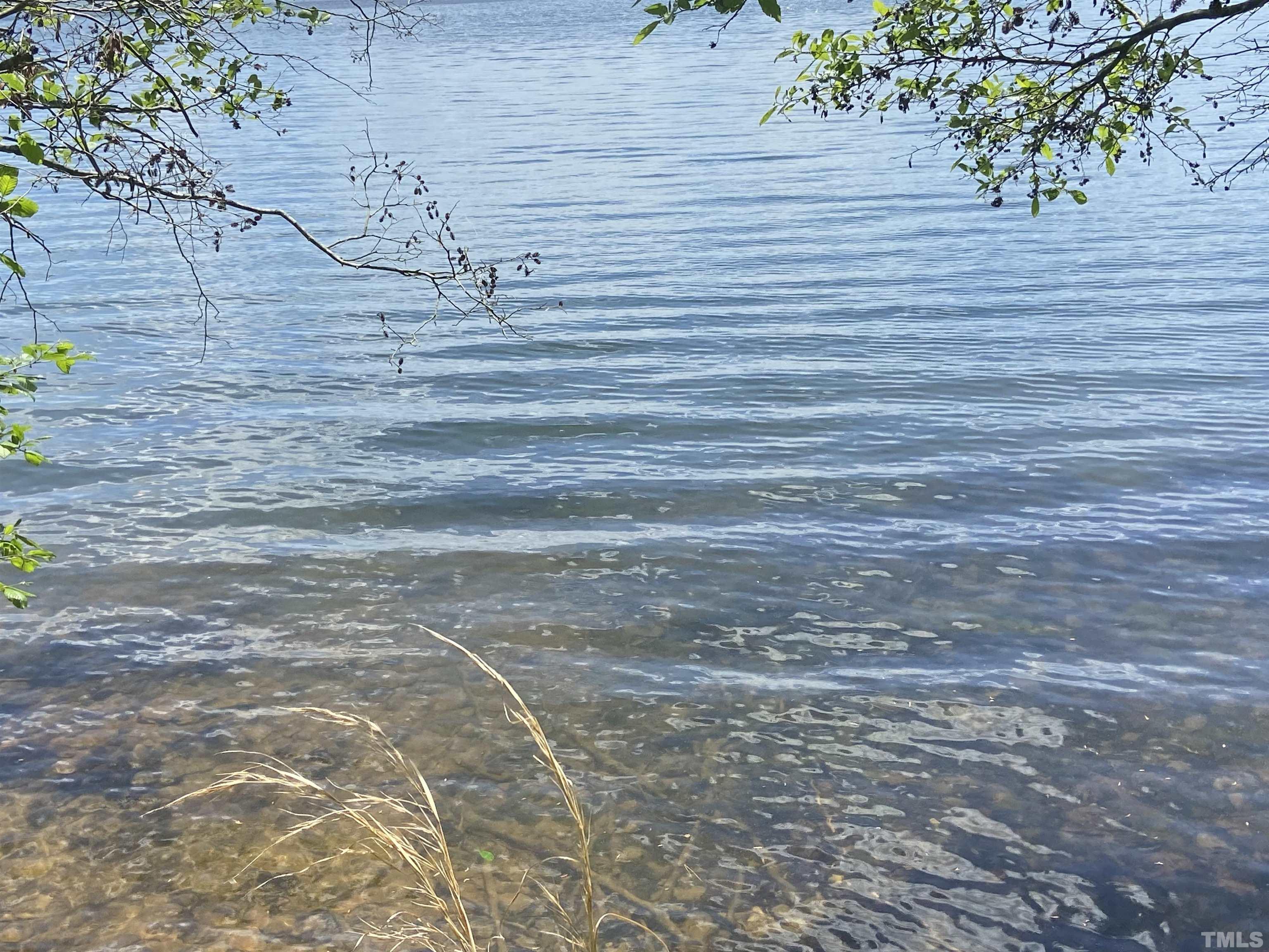 268 Dean Lane Roxboro, NC 27574 - Photo 35 of 38 a view of a yard