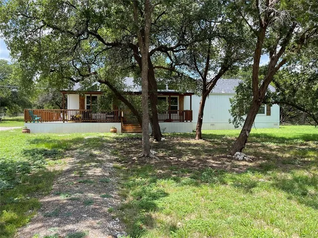 a view of a yard with plants and a large tree