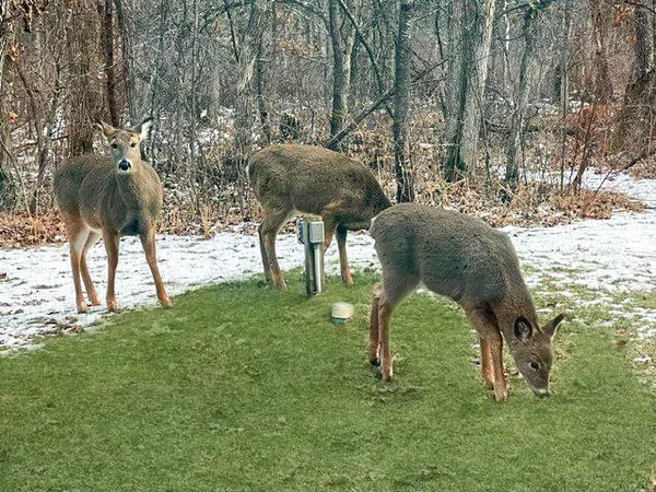 $399,000 | 33843 Dancing Bear Drive, Crosslake, MN 56442