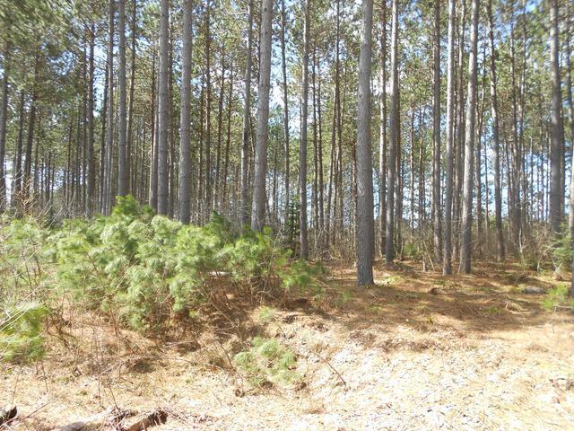 On Towering Pines Lane, Unit LOT 6 Rhinelander, WI 54501 - Photo 1 of 7 Gallery Image 1