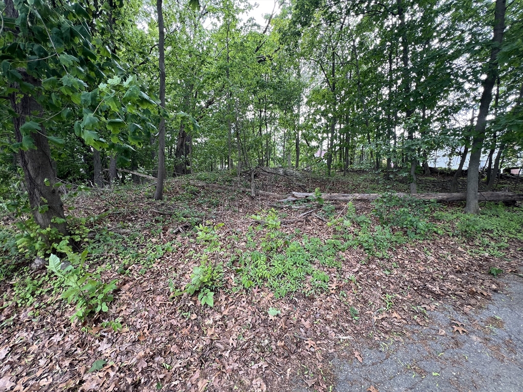 0 Fryeburg Road Woburn, MA 01801 - Photo 4 of 5