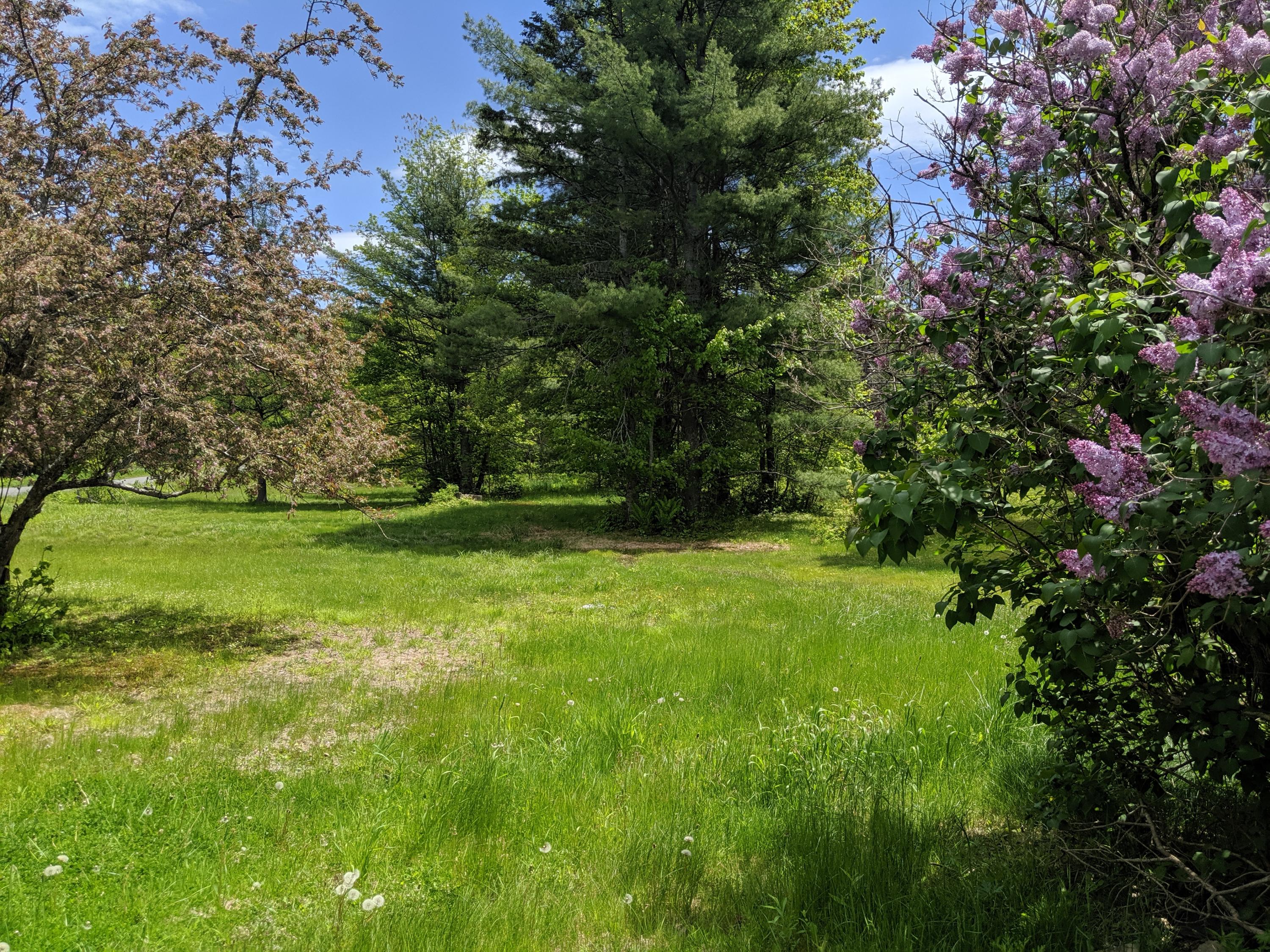23 Hovey Road Milo, ME 04463 - Photo 17 of 19 IMG_20190609_122212