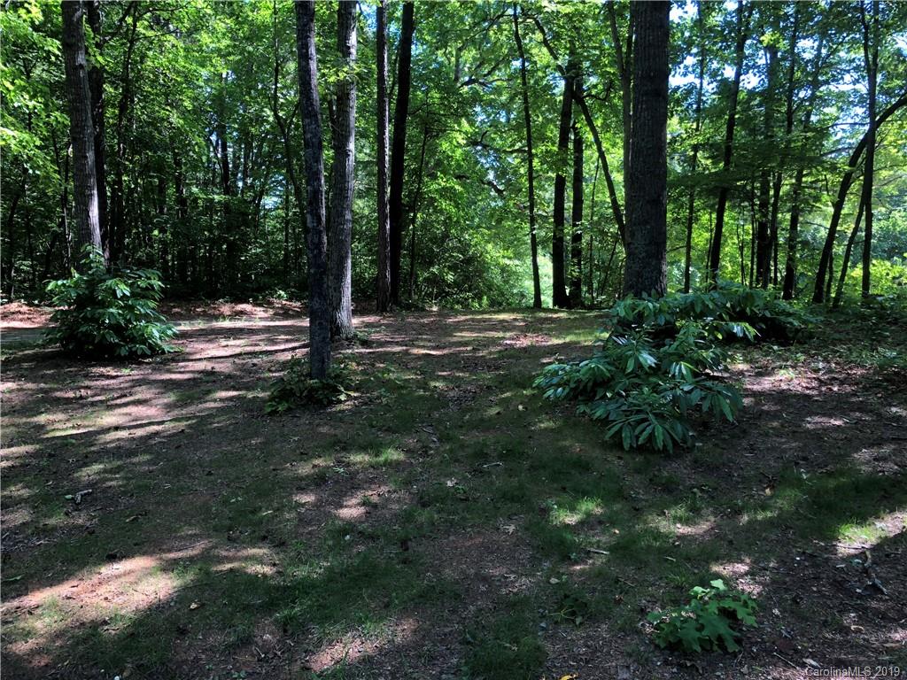 424 Emmas Grove Road Fletcher, NC 28732 - Photo 41 of 45 Gallery Image 41