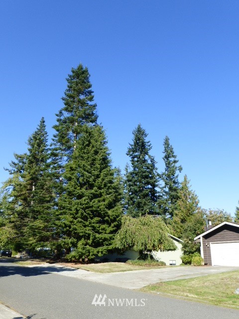 3732 Beazer Road Bellingham, WA 98226 - Photo 6 of 25