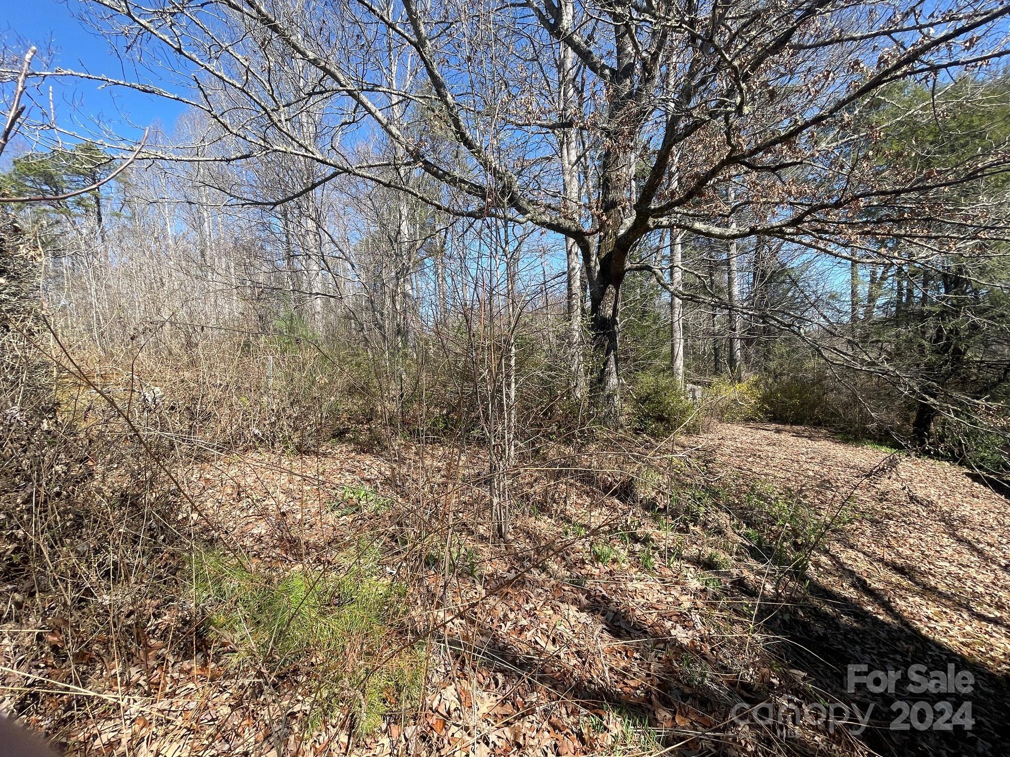 157 Island Ford Road Brevard, NC 28712 - Photo 11 of 29 Gallery Image 11