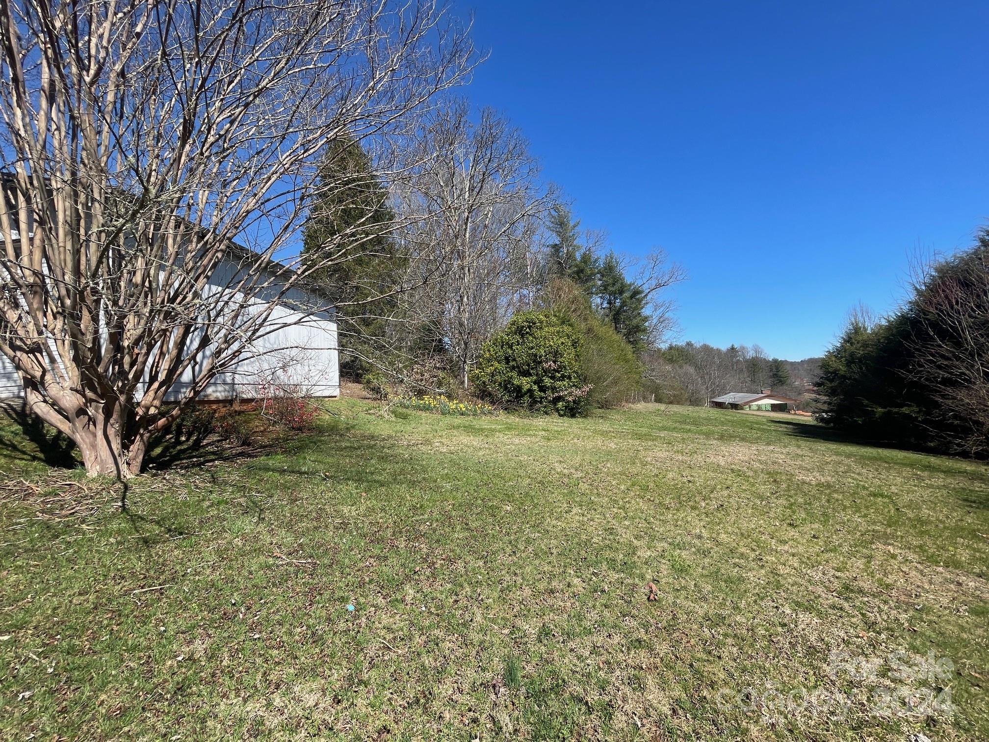 157 Island Ford Road Brevard, NC 28712 - Photo 5 of 29 Gallery Image 5