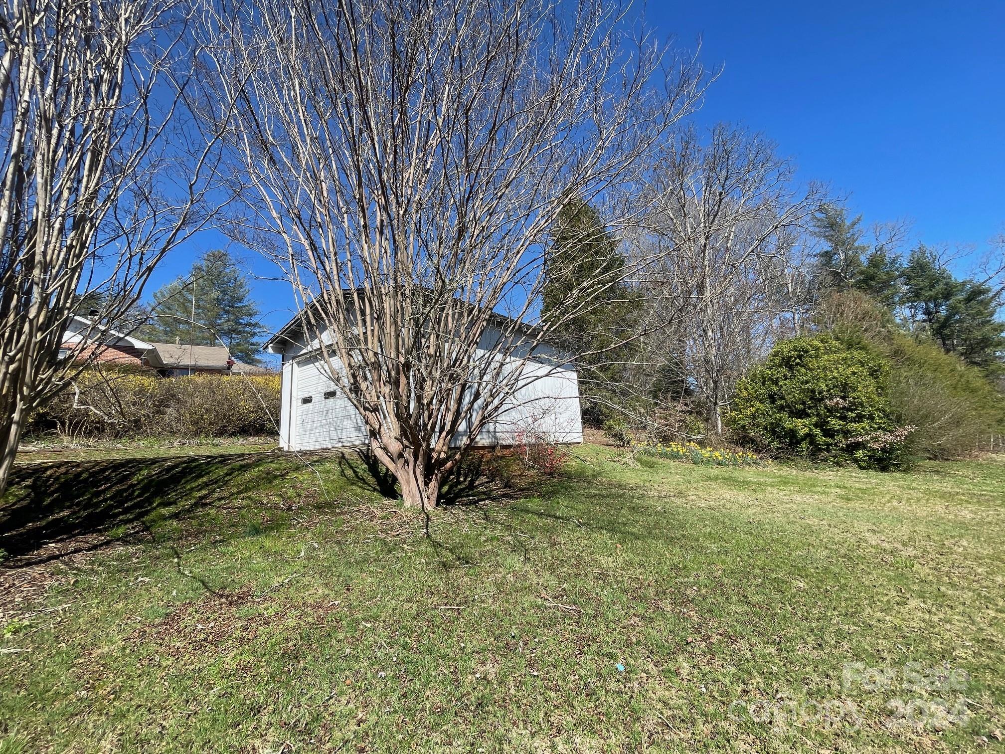 157 Island Ford Road Brevard, NC 28712 - Photo 6 of 29 Gallery Image 6