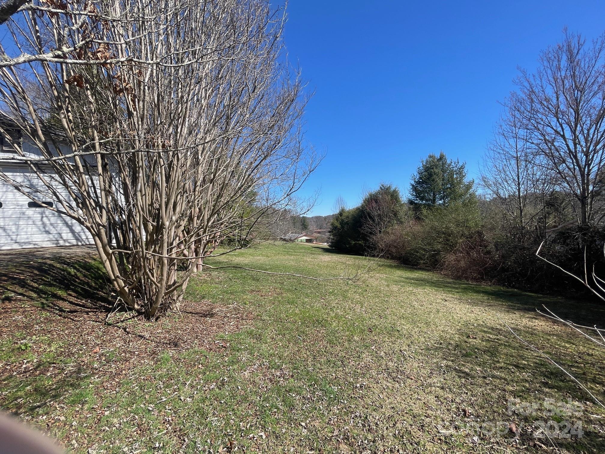 157 Island Ford Road Brevard, NC 28712 - Photo 8 of 29 Gallery Image 8