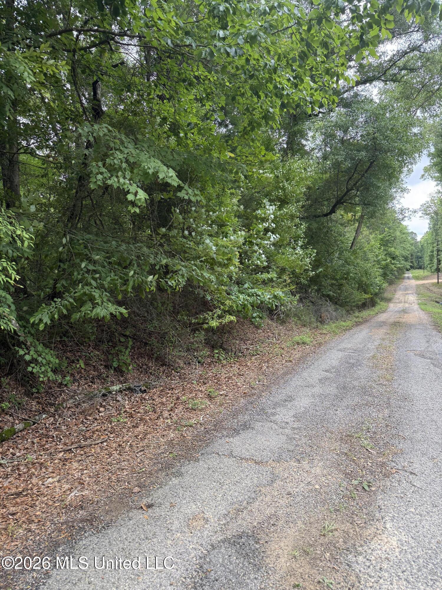 Ridge Road Terry, MS 39170 - Photo 3 of 7 IMG_4305