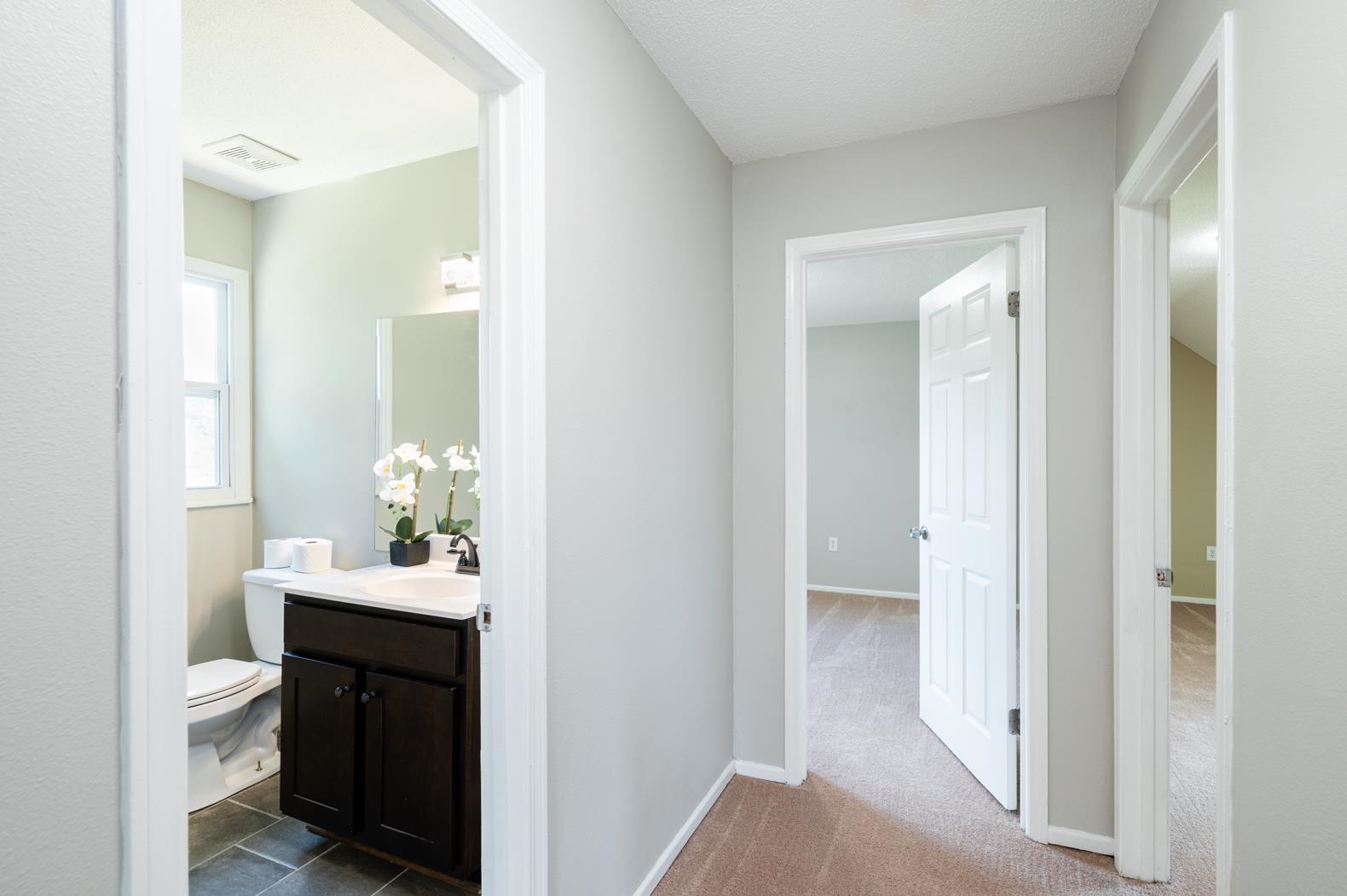 204 Seigler Road Pelzer, SC 29669 - Photo 12 of 20 Gallery Image 12