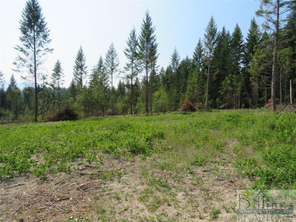 Tbd Rocky Draw Road Troy, MT 59935 - Photo 1 of 1 Gallery Image 1