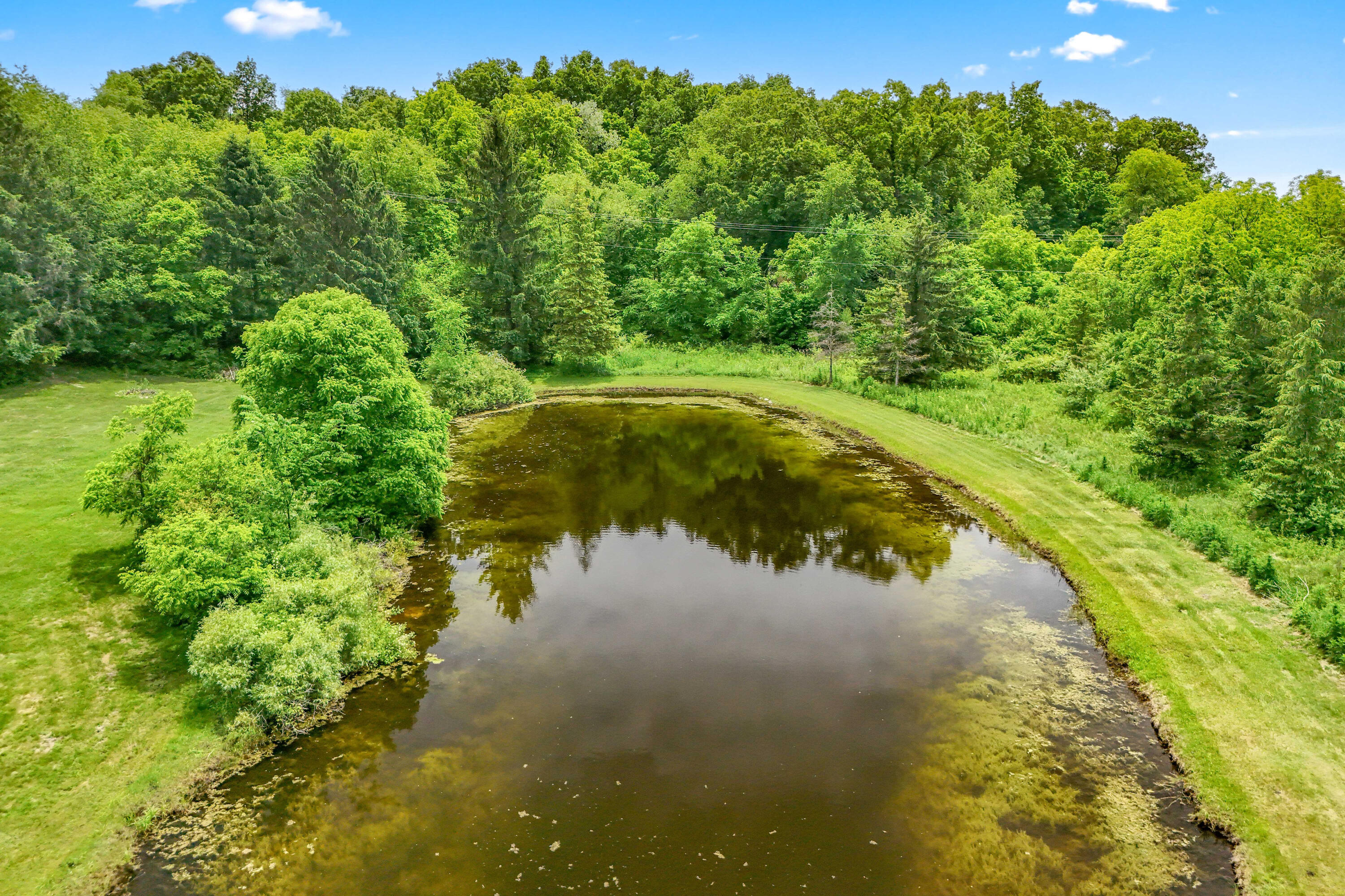 8700 West Montgomery Road Camden, MI 49232 - Photo 45 of 51 12