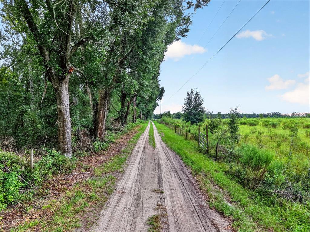 0 173rd Road Live Oak, FL 32060 - Photo 15 of 15 Gallery Image 15