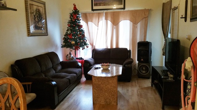 2441 West Haddon Avenue Chicago, IL 60622 - Photo 2 of 10 a living room with furniture and a window