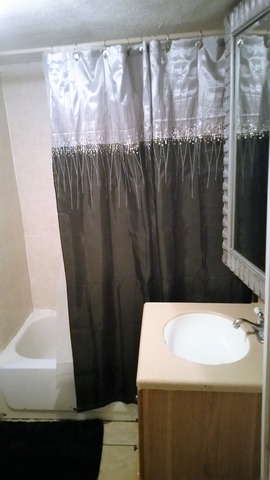 2441 West Haddon Avenue Chicago, IL 60622 - Photo 8 of 10 a bathroom with a bathtub and a shower