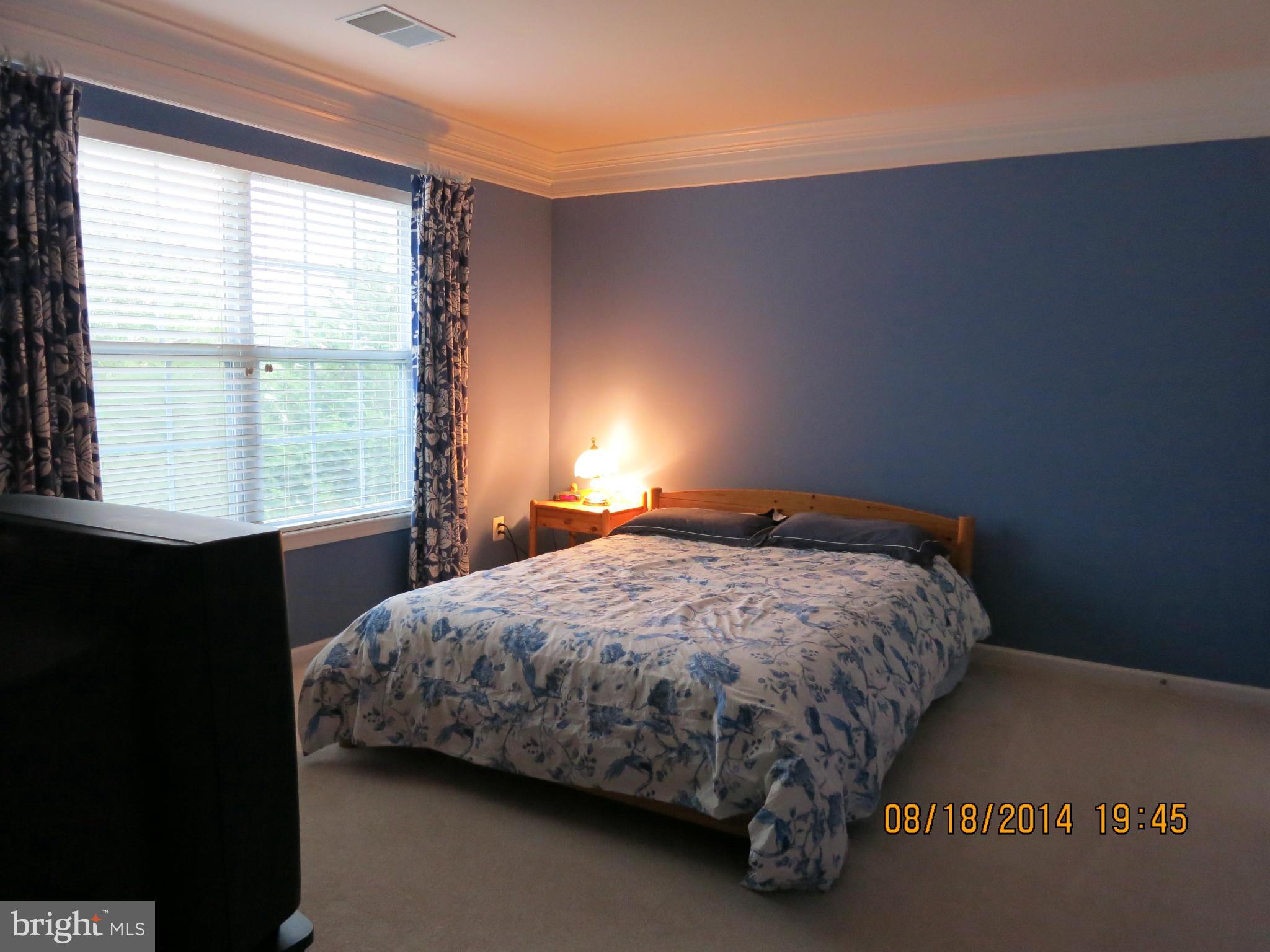 18427 Thundercloud Road Boyds, MD 20841 - Photo 19 of 28 Bedroom