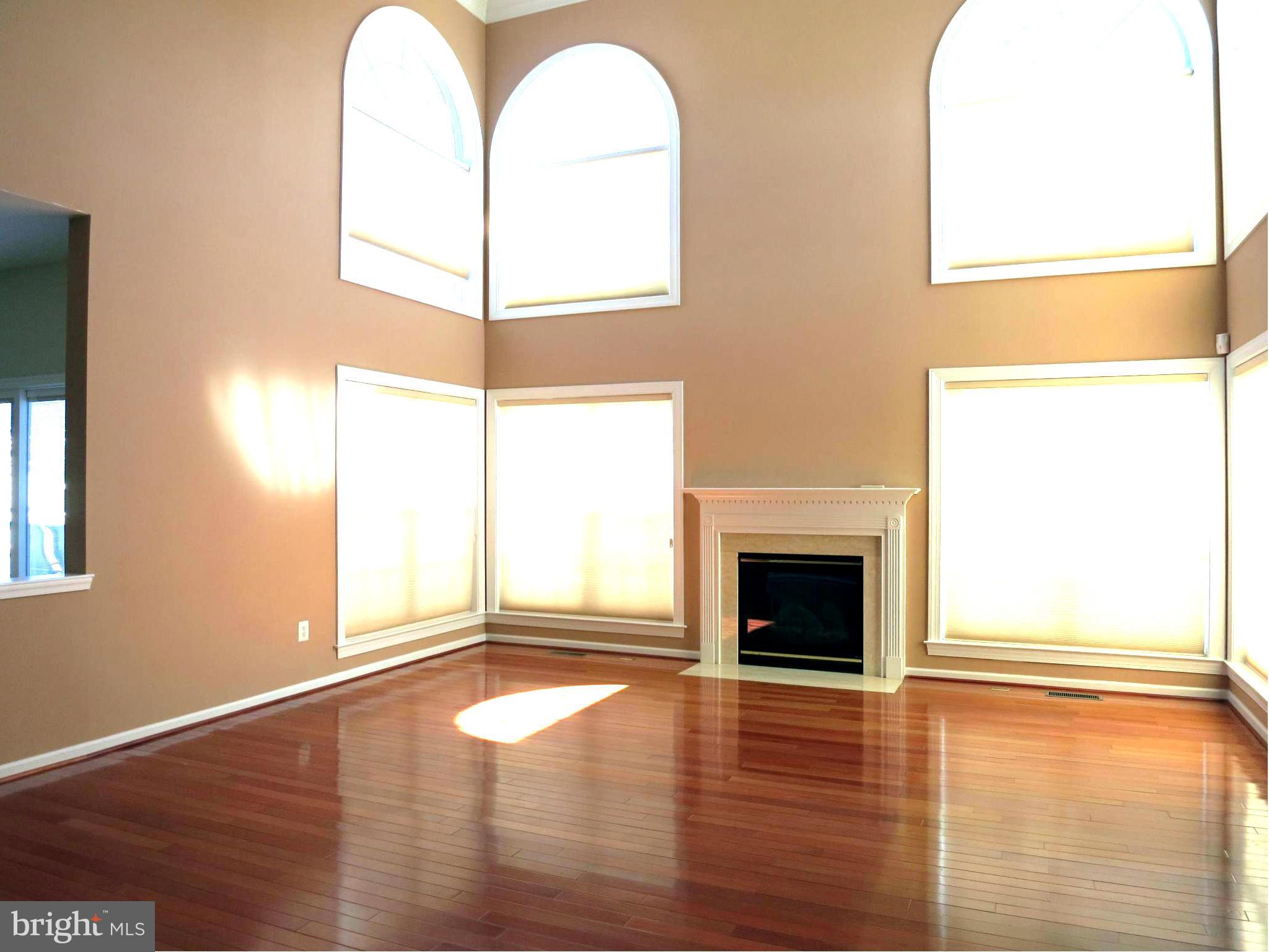 18427 Thundercloud Road Boyds, MD 20841 - Photo 4 of 28 Family Room