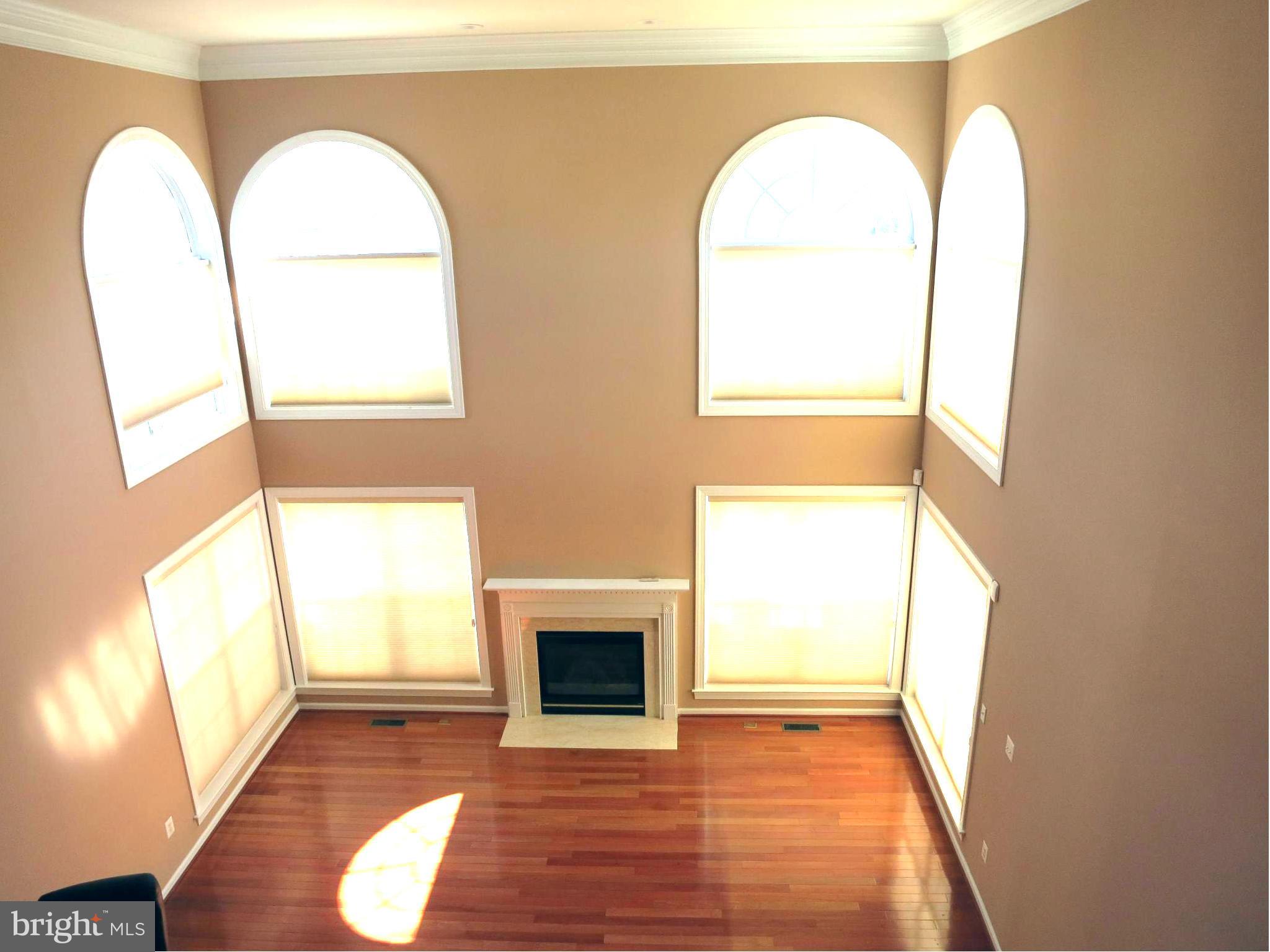18427 Thundercloud Road Boyds, MD 20841 - Photo 5 of 28 Family Room