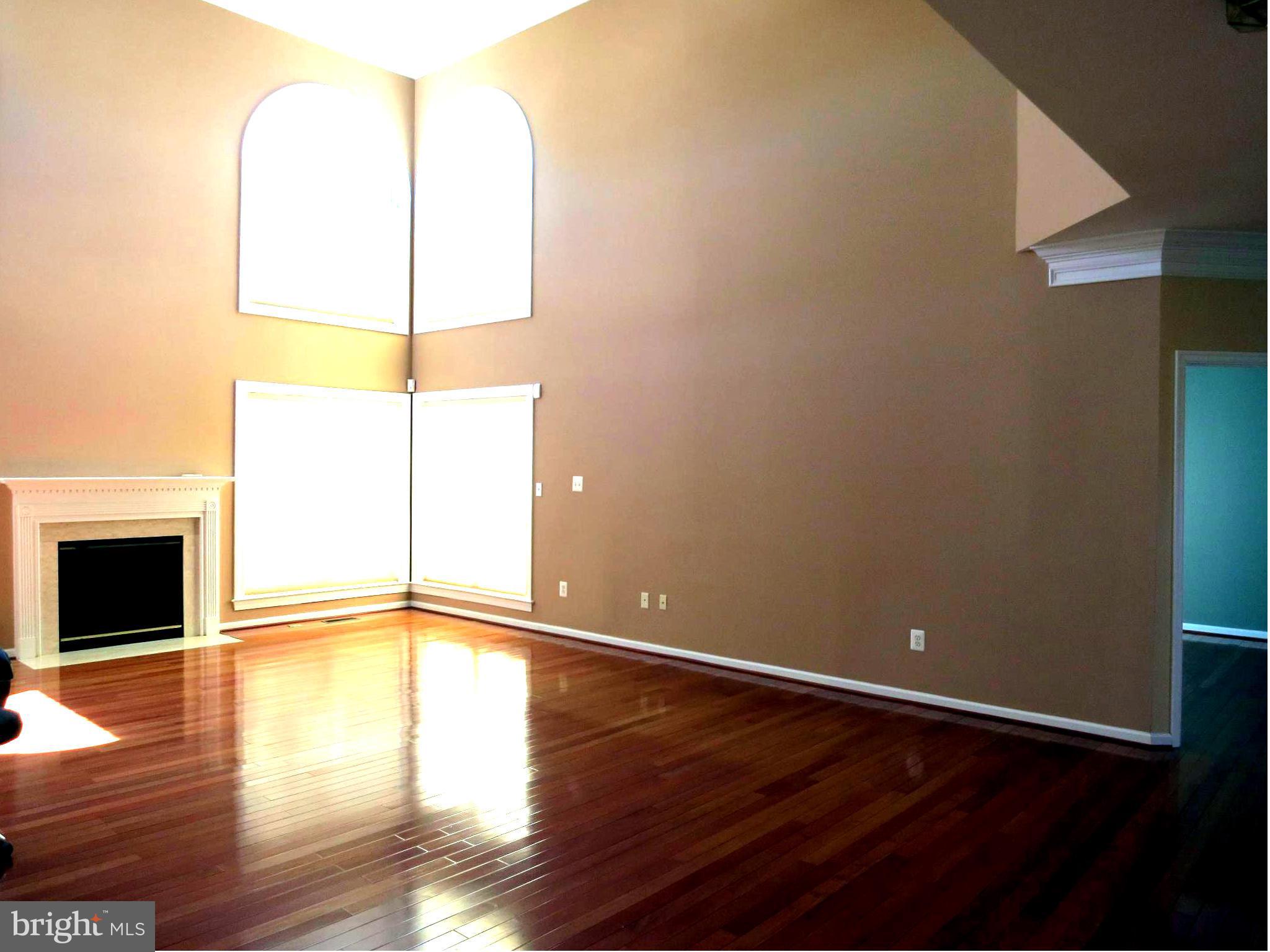 18427 Thundercloud Road Boyds, MD 20841 - Photo 6 of 28 Family Room