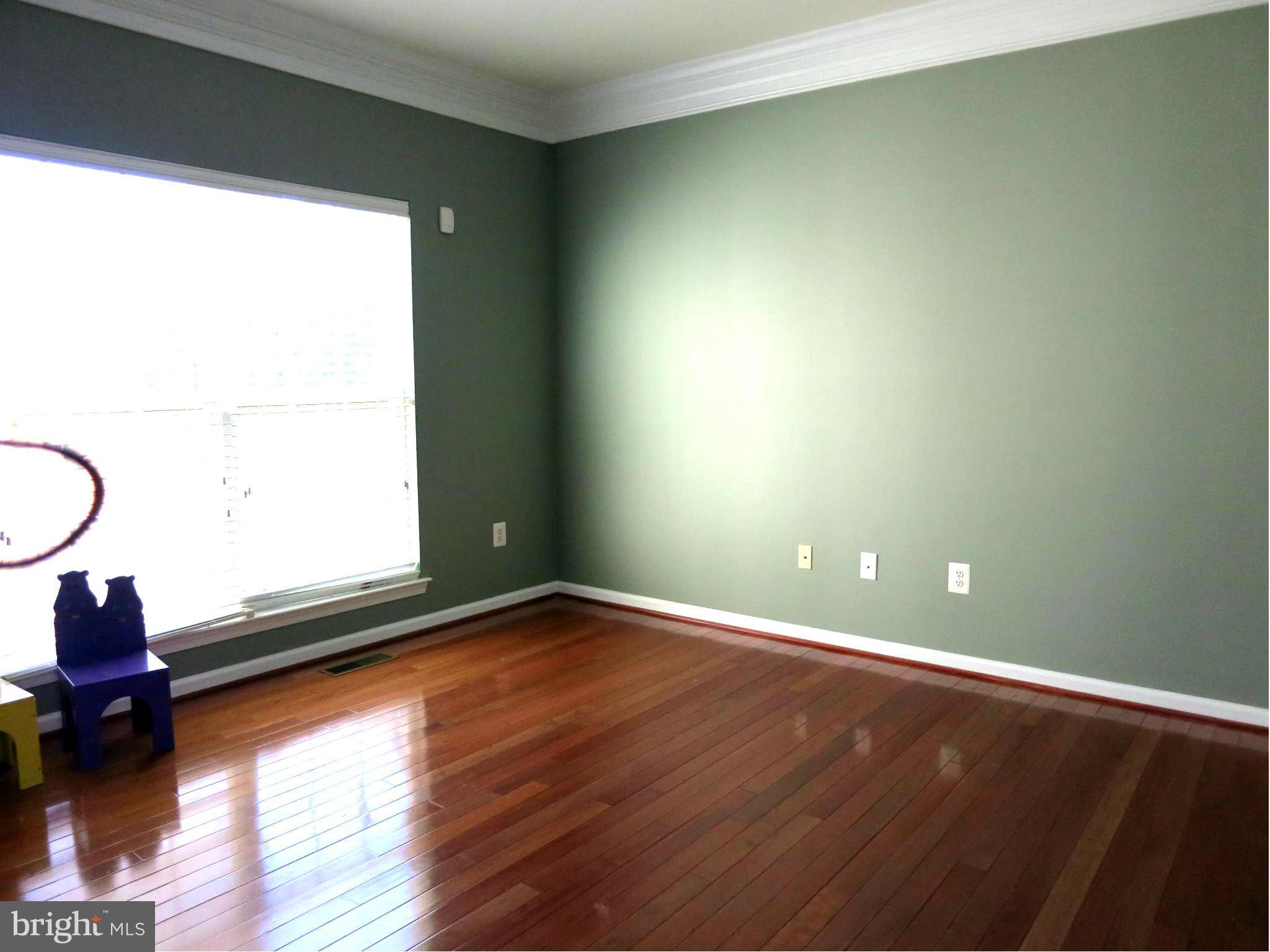 18427 Thundercloud Road Boyds, MD 20841 - Photo 9 of 28 Interior (General)