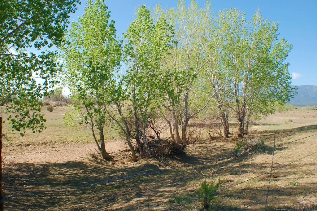 Tbd Tbd Ranch Road Florence, CO 81226 - Photo 16 of 25