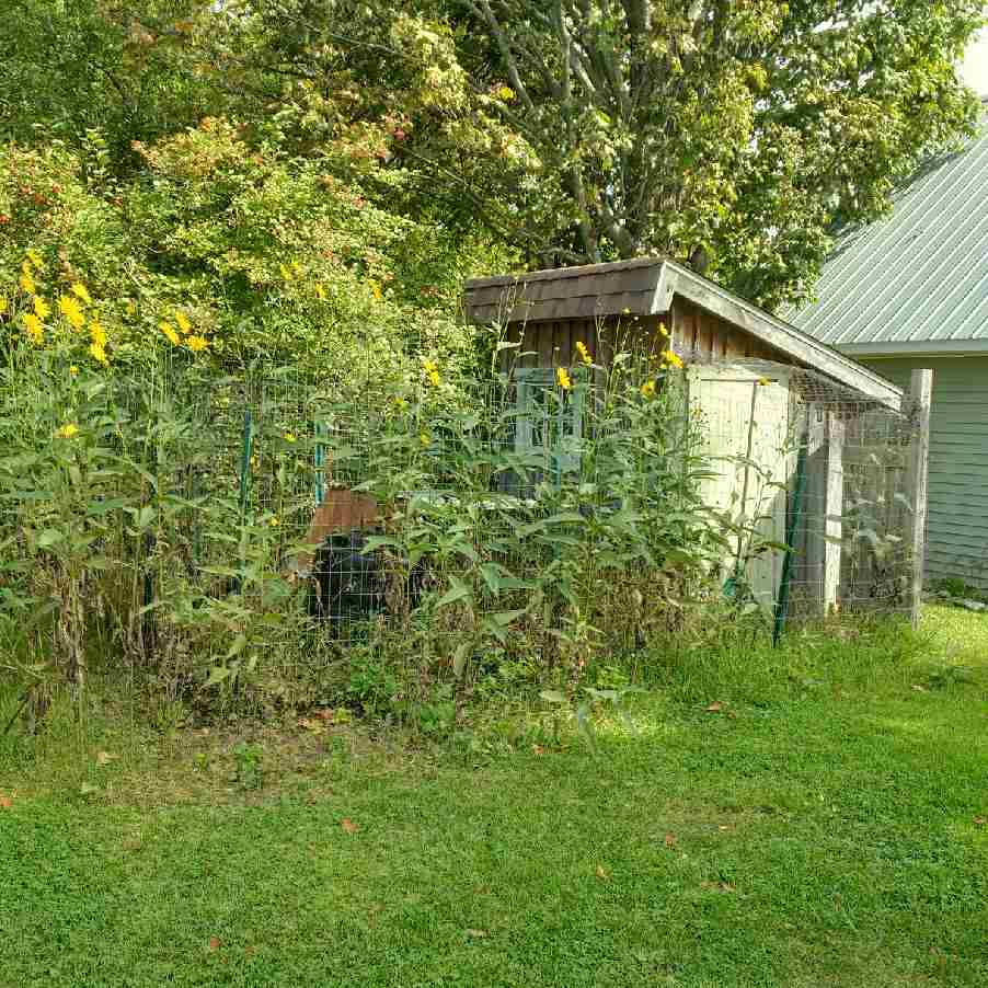 82 Avenue Road Bakersfield, VT 05448 - Photo 11 of 16