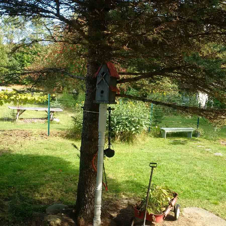 82 Avenue Road Bakersfield, VT 05448 - Photo 12 of 16