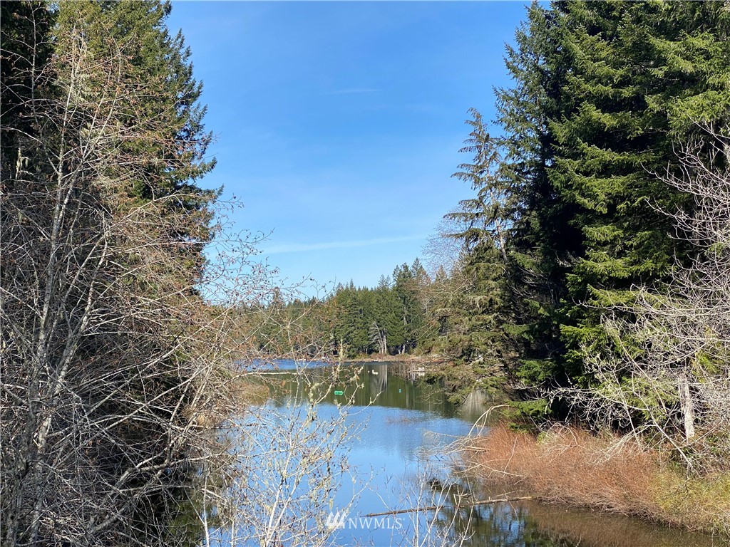 371 Northeast Dewatto Road Tahuya, WA 98588 - Photo 1 of 20
