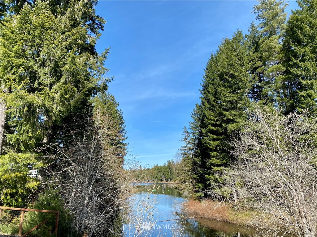 371 Northeast Dewatto Road Tahuya, WA 98588 - Photo 15 of 20