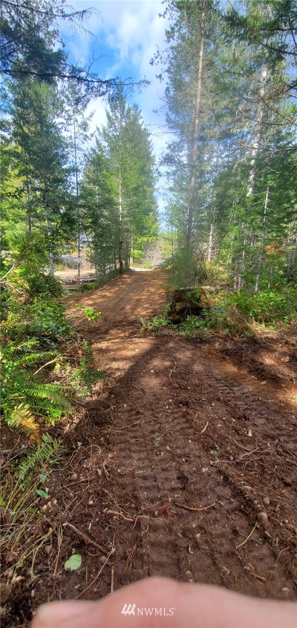 371 Northeast Dewatto Road Tahuya, WA 98588 - Photo 16 of 20