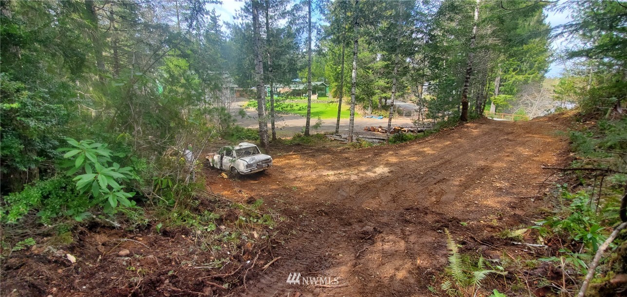 371 Northeast Dewatto Road Tahuya, WA 98588 - Photo 5 of 20