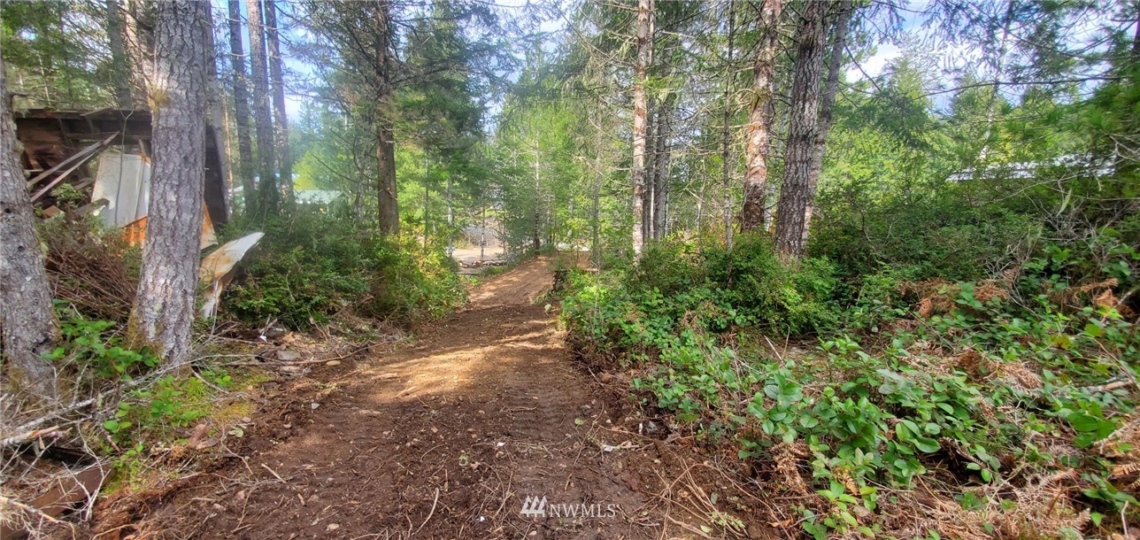 371 Northeast Dewatto Road Tahuya, WA 98588 - Photo 8 of 20