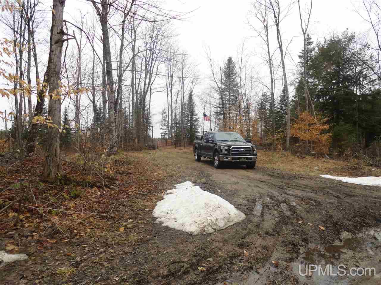 40-acres East Edge Road Germfask, MI 49836 - Photo 2 of 24 Gallery Image 2