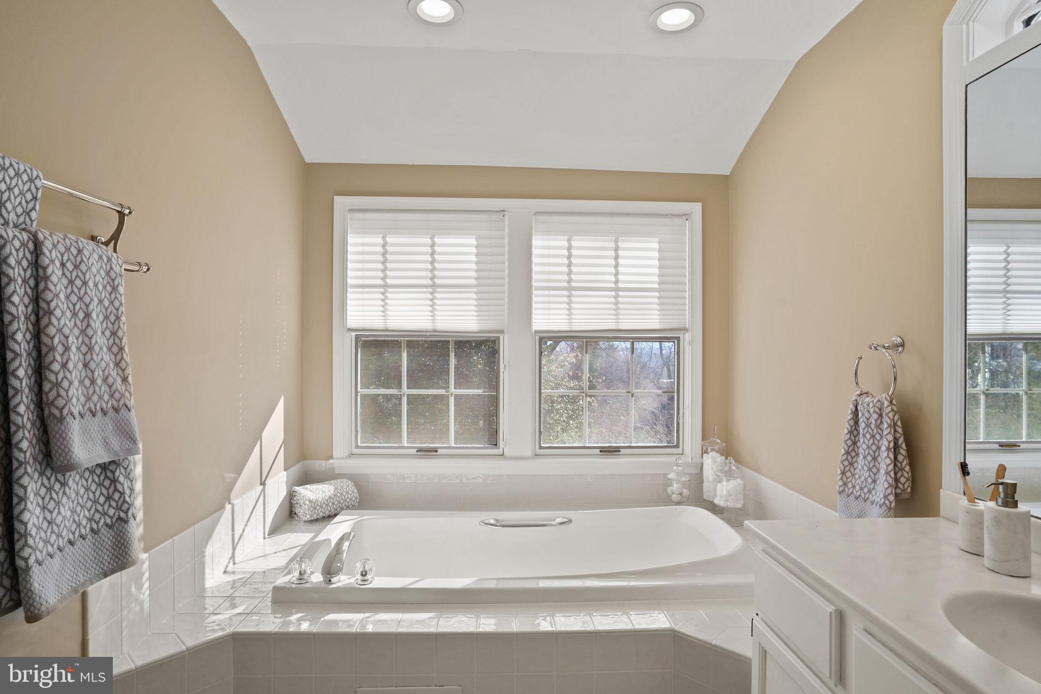 406 West Braddock Road Alexandria, VA 22302 - Photo 30 of 56 a bathroom with a tub sink and a window
