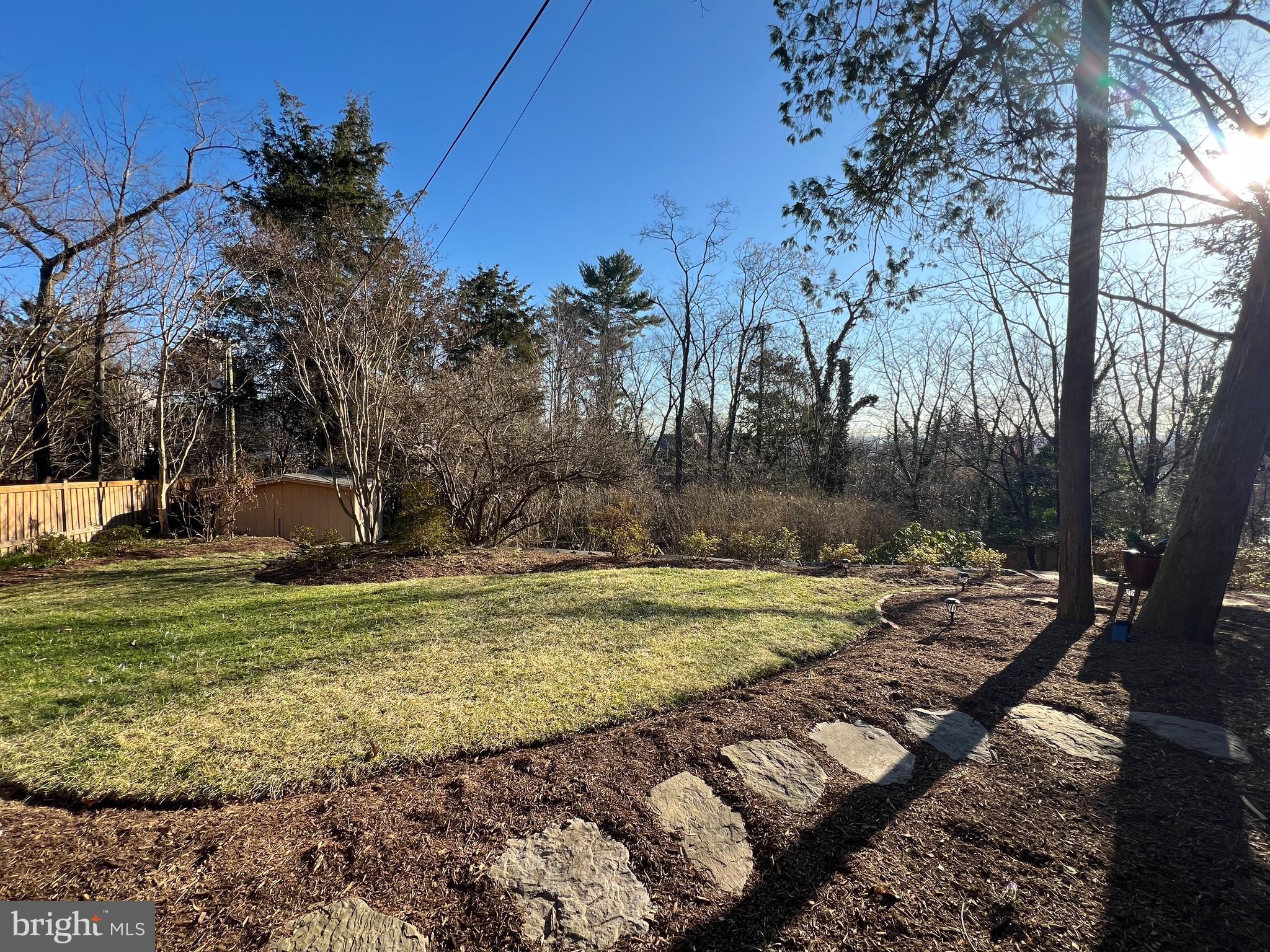406 West Braddock Road Alexandria, VA 22302 - Photo 41 of 56 a view of a yard with a tree