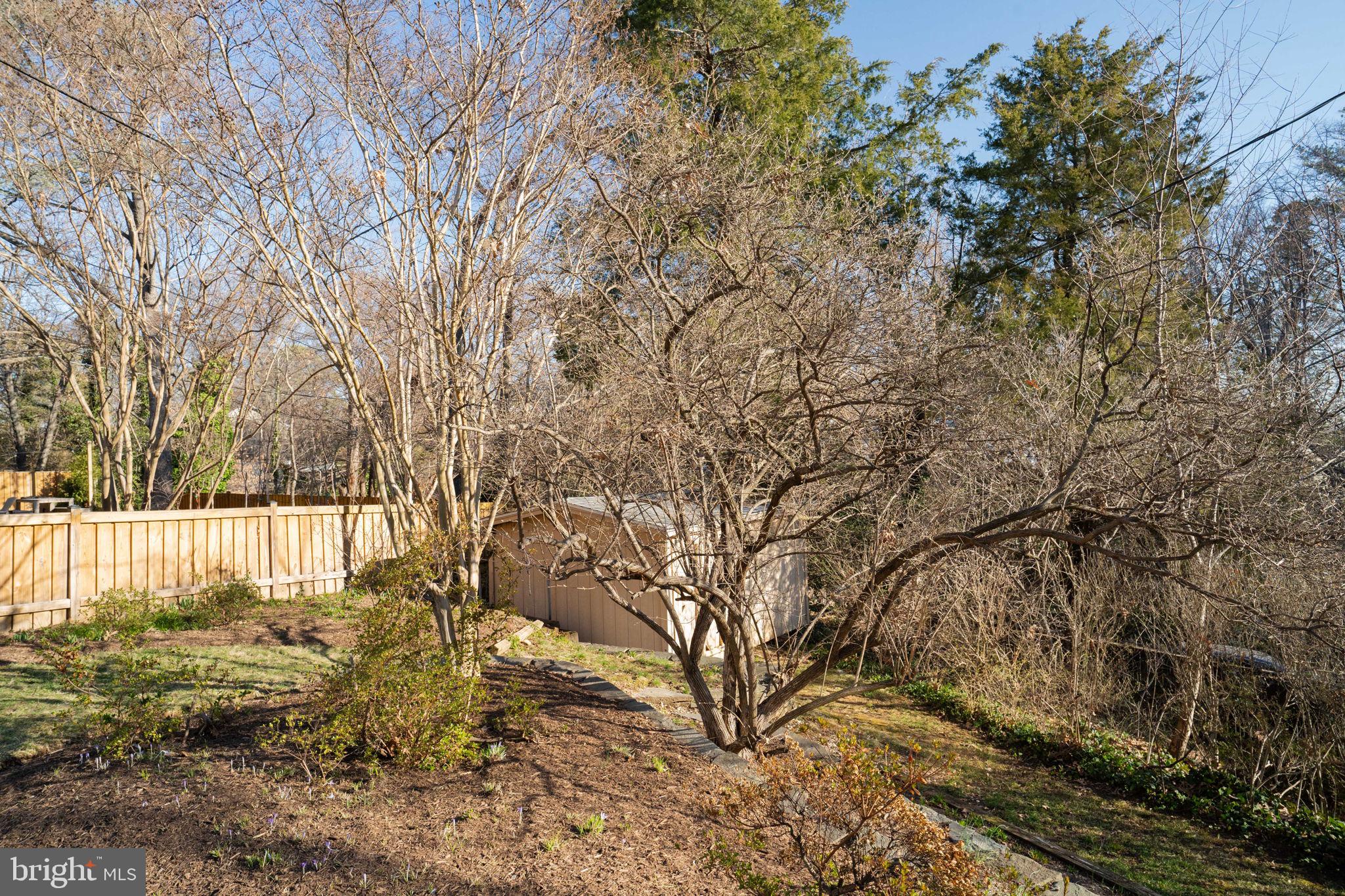 406 West Braddock Road Alexandria, VA 22302 - Photo 45 of 56 a view of a yard with large tree