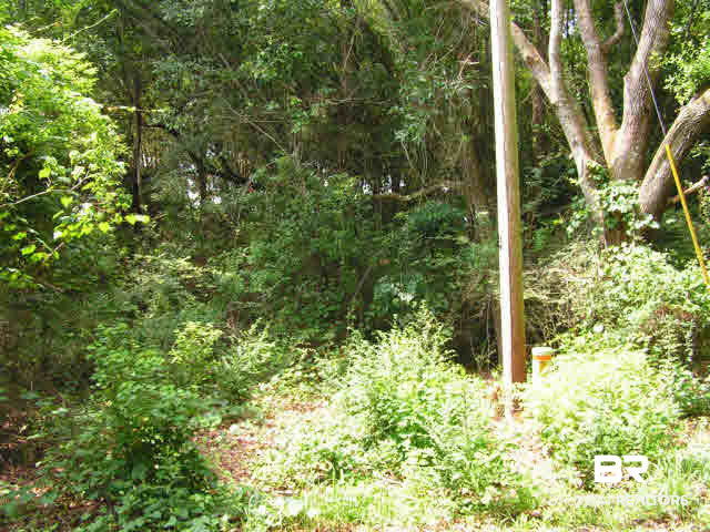 0 Chestnut Drive Foley, AL 36535 - Photo 3 of 4